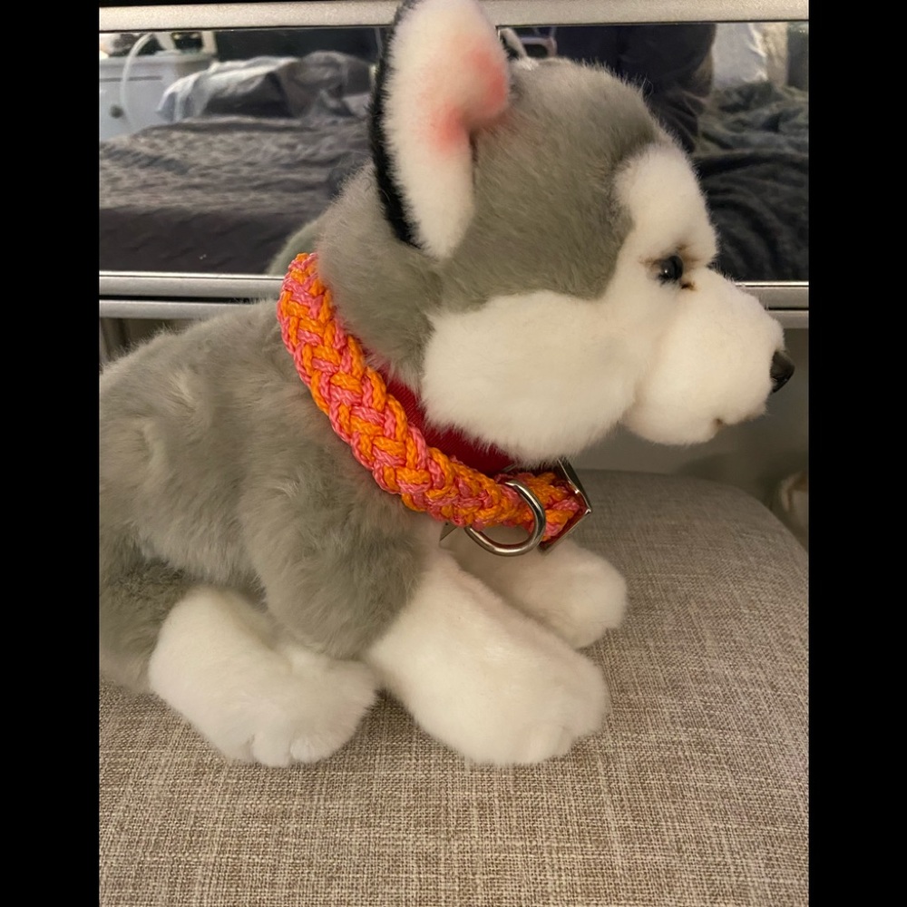 Kiss My Mutt Knit Dog Collar NWOT